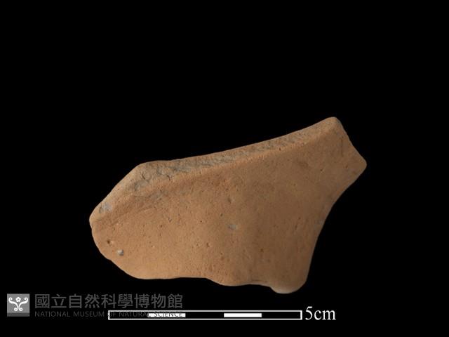 豆形器藏品圖，第1張