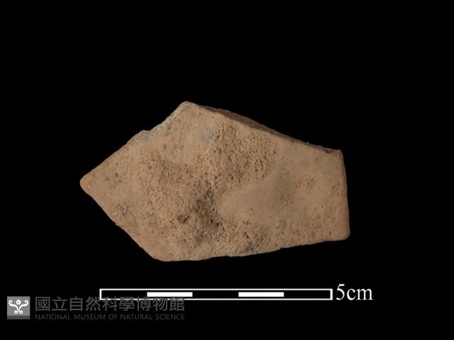 陶片藏品圖，第1張