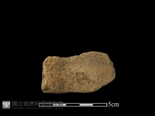 陶片藏品圖，第2張