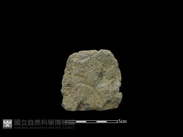 斧鋤形器藏品圖，第2張