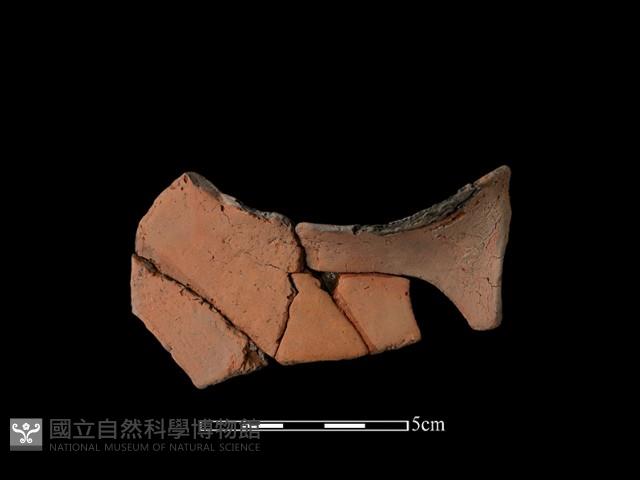 連杯形器藏品圖，第1張