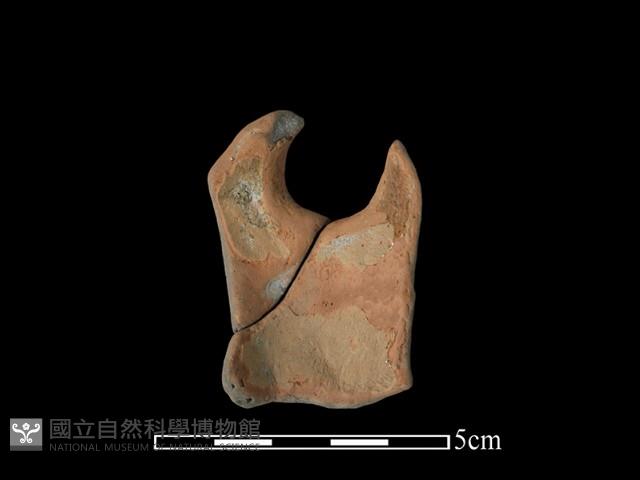 陶片藏品圖，第1張