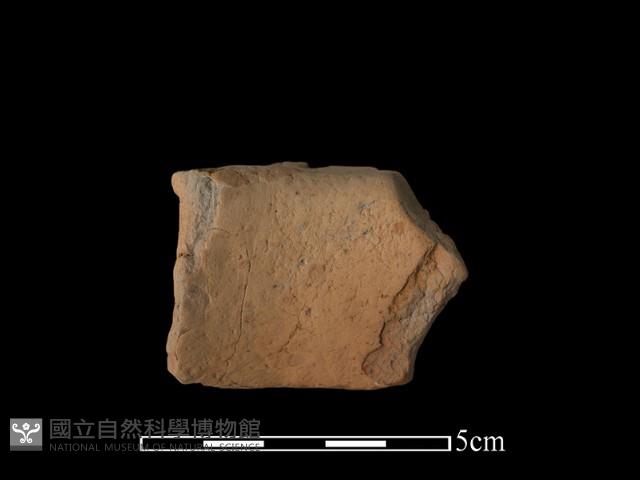 陶片藏品圖，第1張