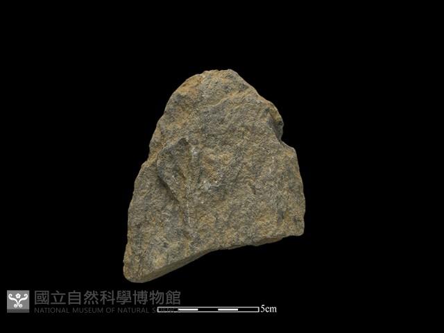 斧鋤形器藏品圖，第2張