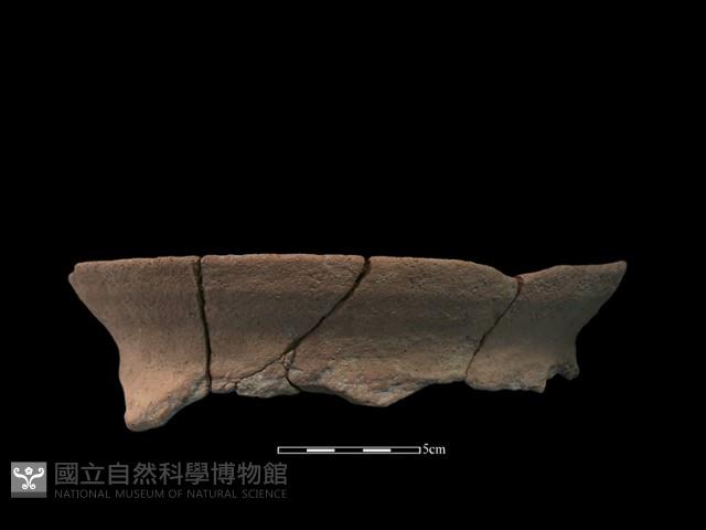 陶罐藏品圖，第2張