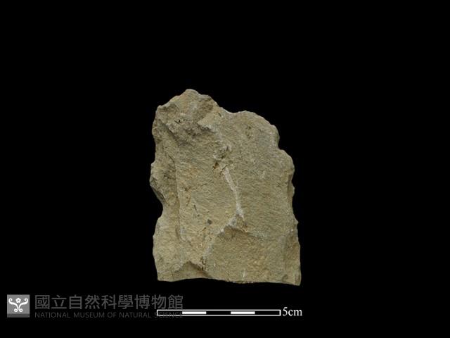 斧鋤形器藏品圖，第2張