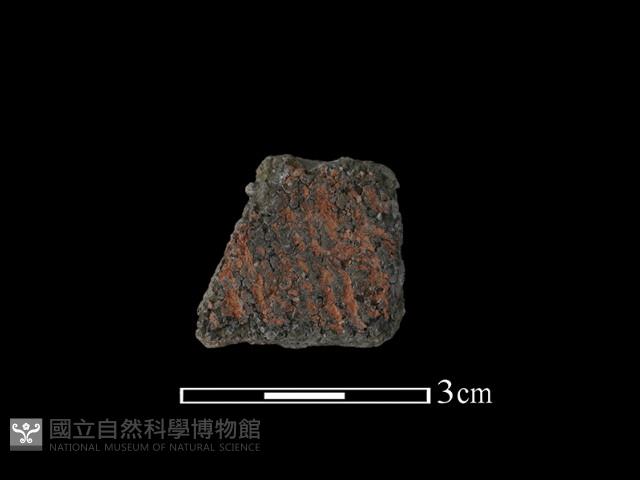 陶片藏品圖，第1張