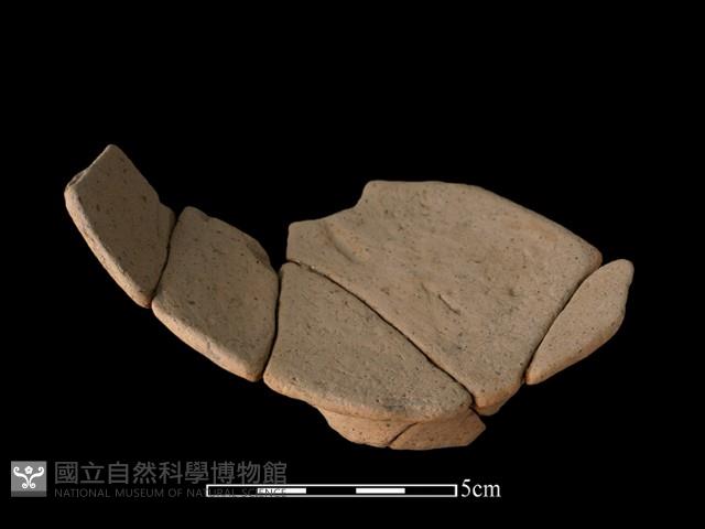 豆形器藏品圖，第1張