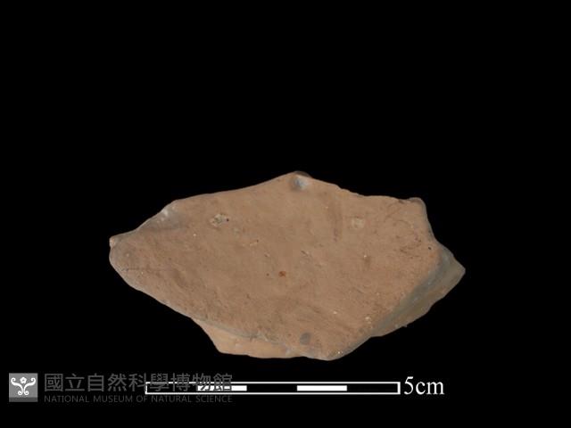 豆形器藏品圖，第1張