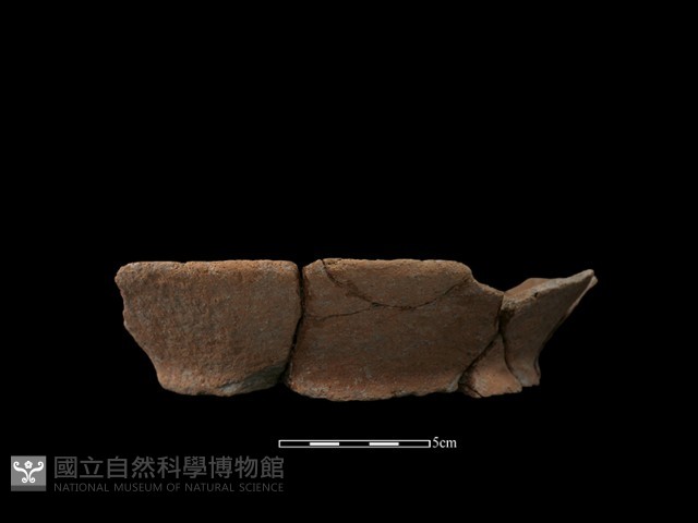 陶罐藏品圖，第1張