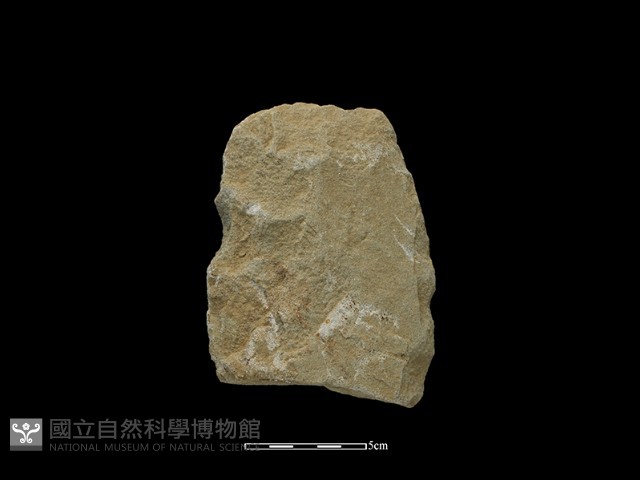 斧鋤形器藏品圖，第2張