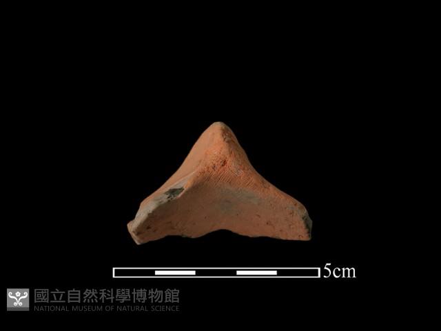 連杯形器藏品圖，第2張