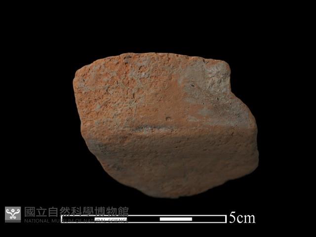 陶片藏品圖，第2張