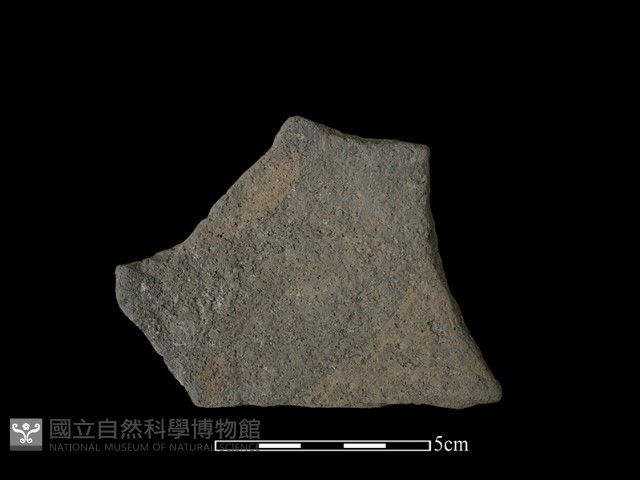 陶片藏品圖，第2張