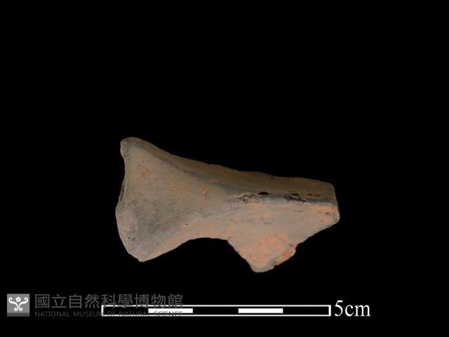 連杯形器藏品圖，第2張