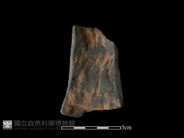 陶片藏品圖，第2張