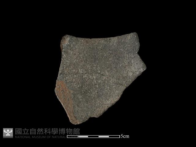 陶片藏品圖，第2張