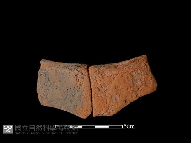 連杯形器藏品圖，第2張