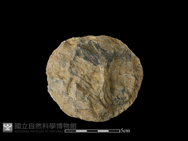 砍砸器藏品圖，第2張