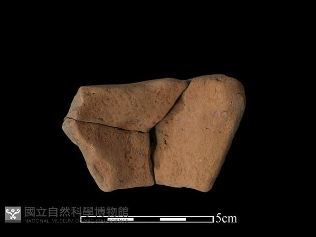 豆形器藏品圖，第2張