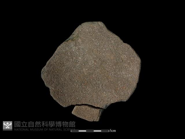 陶片藏品圖，第1張