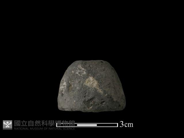 紡輪藏品圖，第3張