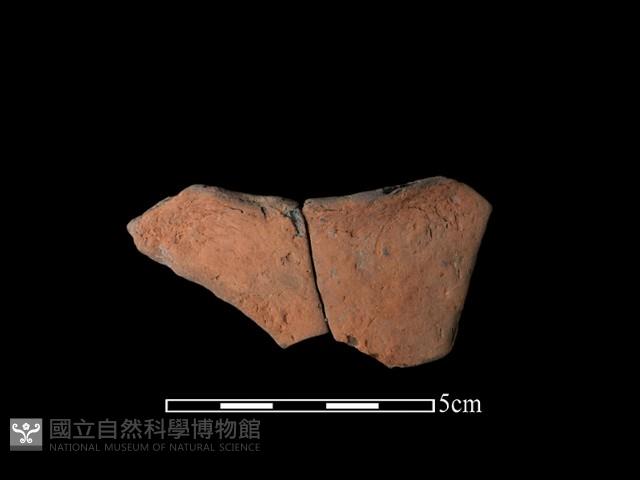 連杯形器藏品圖，第1張