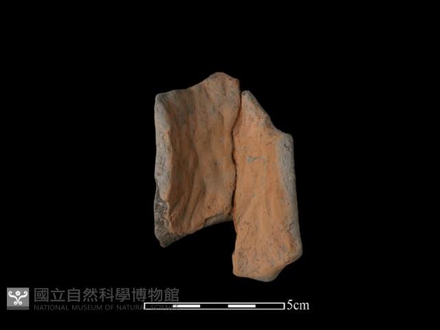 陶片藏品圖，第1張