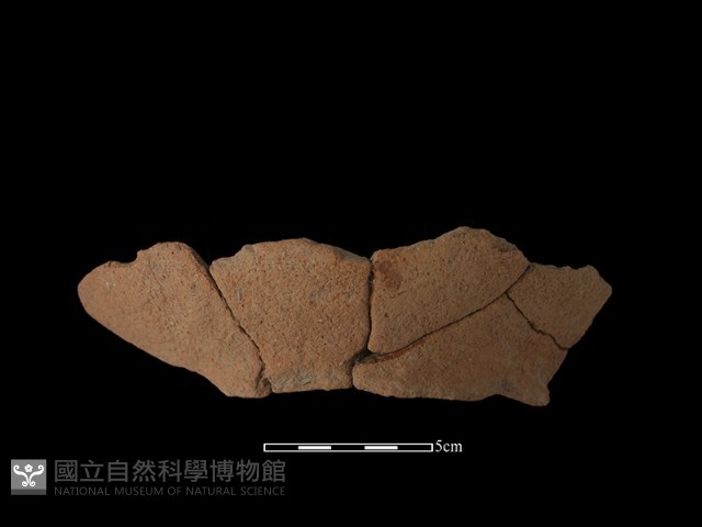 陶罐藏品圖，第1張