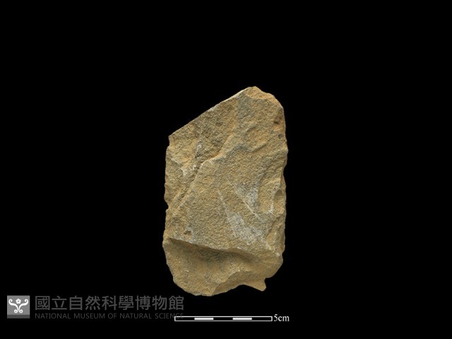 斧鋤形器藏品圖，第2張