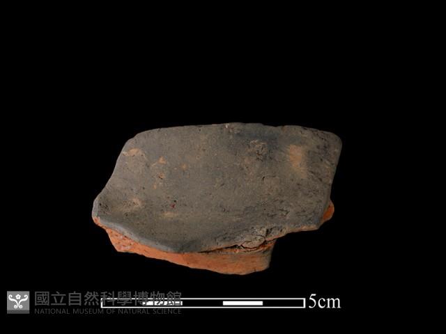 陶片藏品圖，第2張