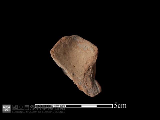 連杯形器藏品圖，第2張