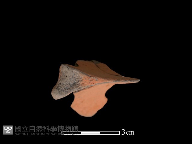 連杯形器藏品圖，第2張