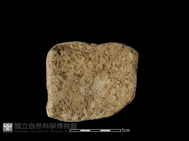 陶片藏品圖，第2張