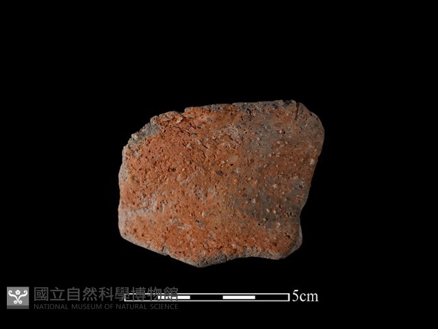 陶罐藏品圖，第2張