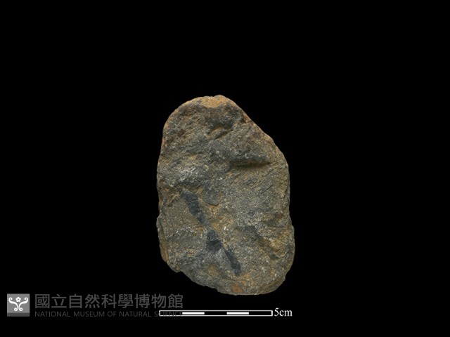 斧鋤形器藏品圖，第2張