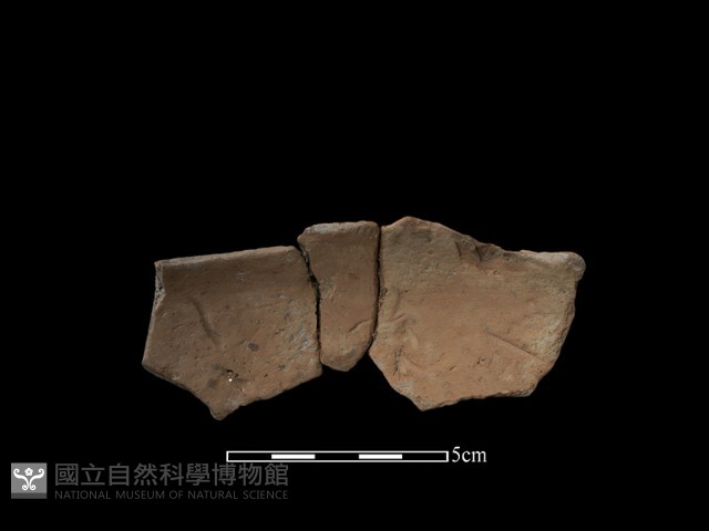 陶片藏品圖，第2張