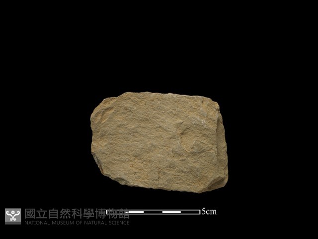 斧鋤形器藏品圖，第2張