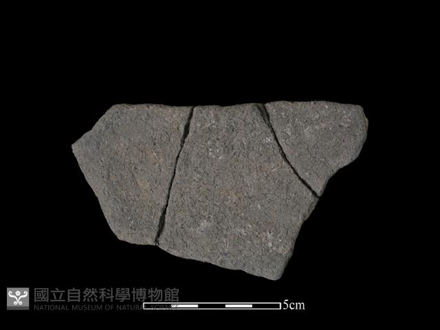 陶片藏品圖，第2張