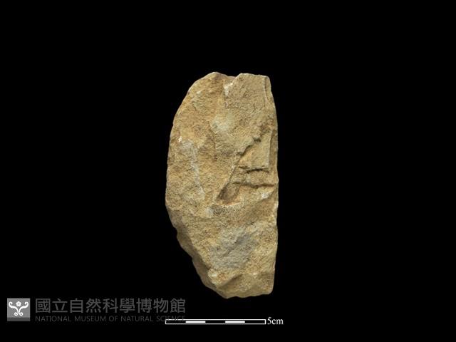 斧鋤形器藏品圖，第2張