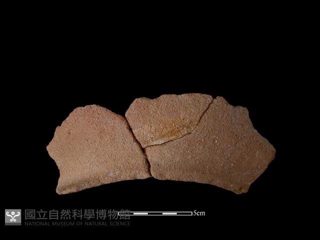 陶罐藏品圖，第2張