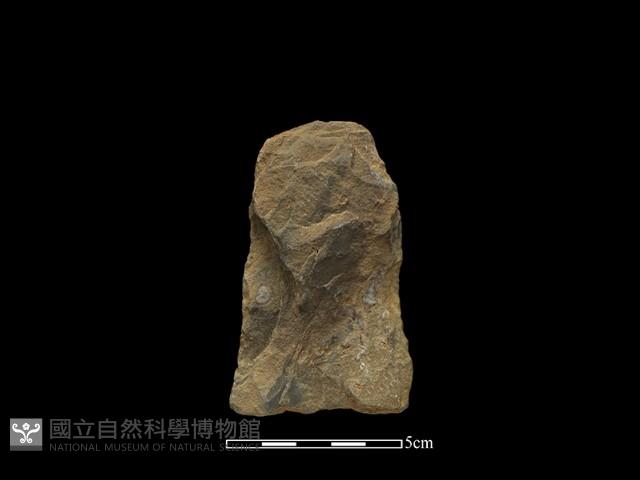 Accession Number:CTT-2014-195 Collection Image, Figure 2, Total 2 Figures