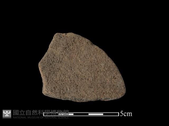 陶片藏品圖，第2張