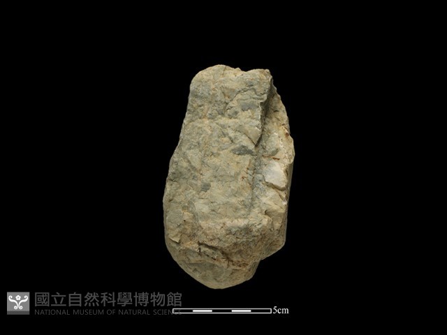 砍砸器藏品圖，第3張