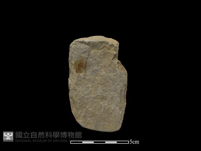 錛鑿形器藏品圖，第1張