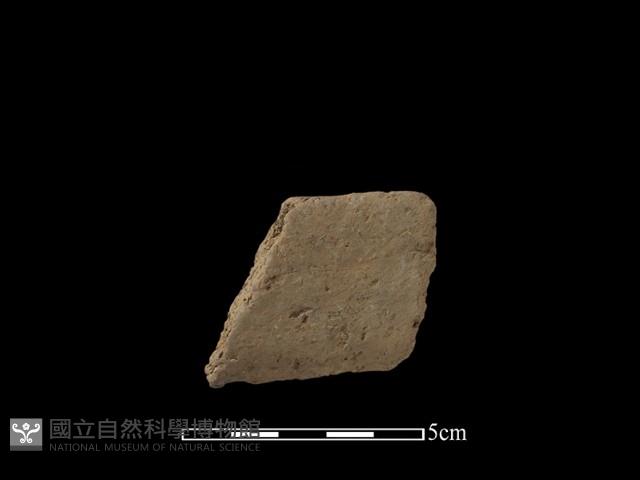 陶片藏品圖，第1張