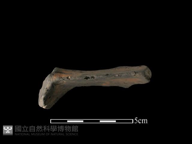 連杯形器藏品圖，第3張