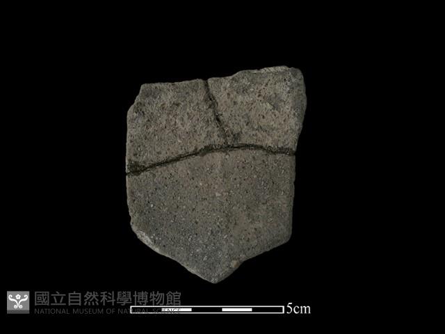 陶片藏品圖，第2張