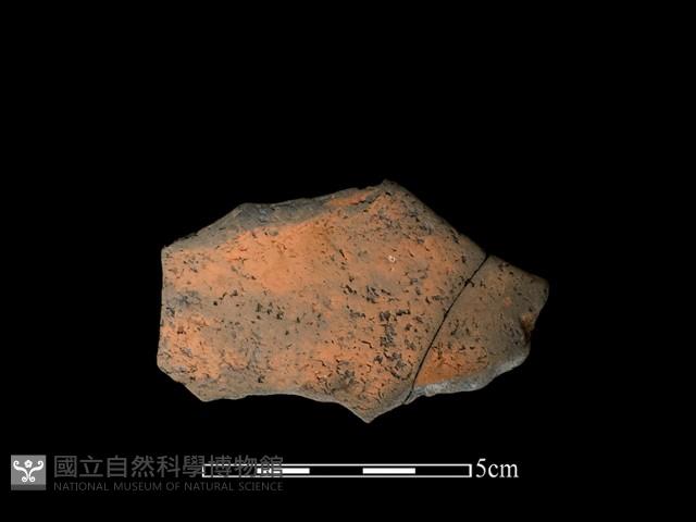 連杯形器藏品圖，第2張