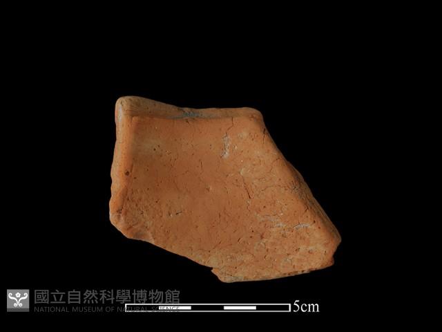 豆形器藏品圖，第2張